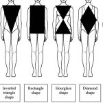 Body Types